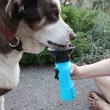 Flaša za vodu za pse 0.5l Sigurna kupovina